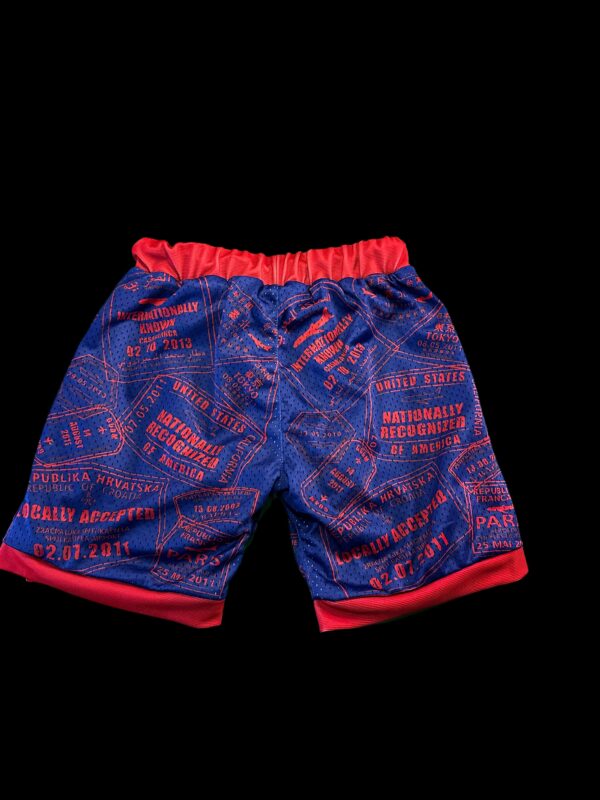 Team ID Mesh Shorts New York Giants